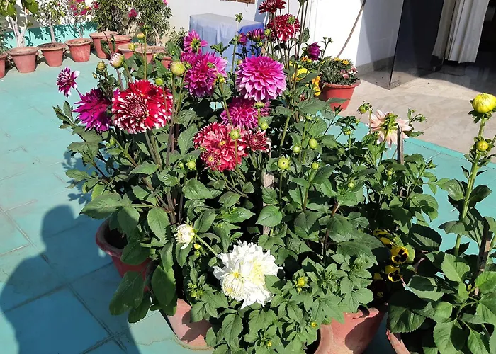 Fully Furnished Ish, Atithya Homestay With Various Amenities And Free Services In Lucknow, India